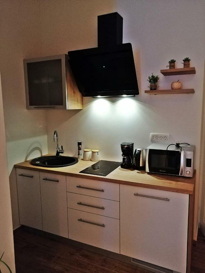Studio Apartman Villa Gianna 로브란 외부 사진